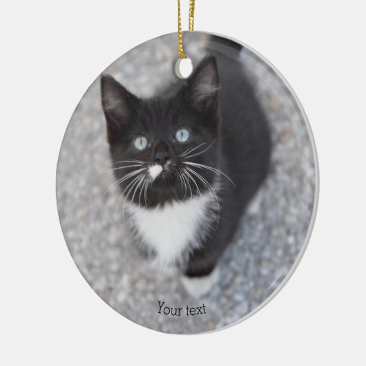 Personalize Tuxedo Schwarzweiß Kitten Keramik Ornament (Links)