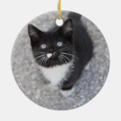 Personalize Tuxedo Schwarzweiß Kitten Keramik Ornament (Hinten)