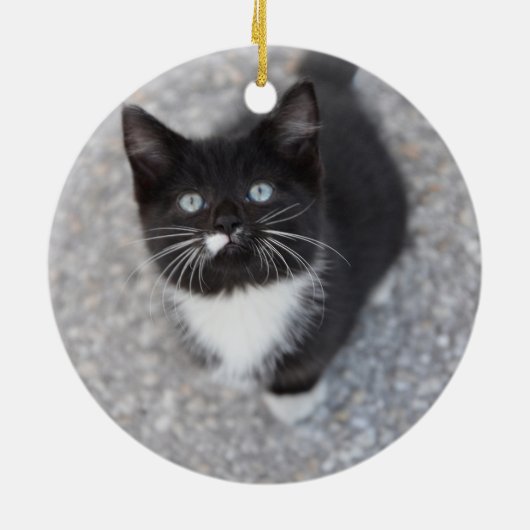Personalize Tuxedo Schwarzweiß Kitten Keramik Ornament (Hinten)