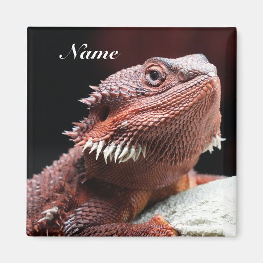 Personalized Adult Red Bearded Dragon Lizard Magnet (Vorne)