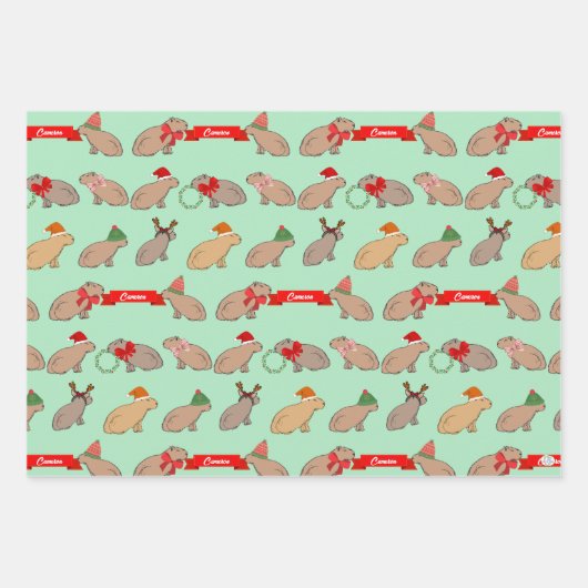 Personalized Capybara Cute Wildlife Christmas Geschenkpapier Set (Vorderseite)