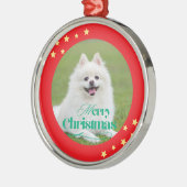 Personalized Christmas Ornament (Links)