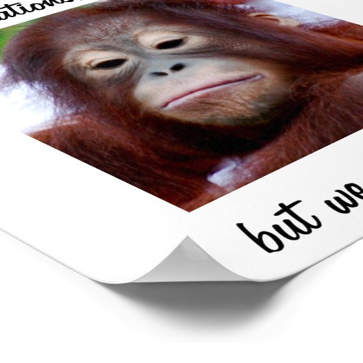 Personalized Congratulations Decorations Poster (Ecke)