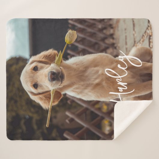 Personalized Custom Photo And Text Sherpadecke (Vorderseite (Horizontal))