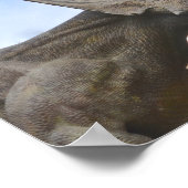 Personalized Dinosaur Poster (Ecke)