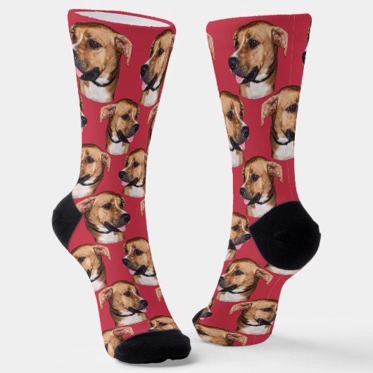 Personalized dog face photo Red Cute Fun Pet Socken (Gewinkelt)