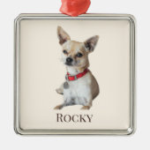 Personalized Dog Photo | Custom Pet Name  Ornament Aus Metall (Vorne)