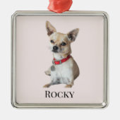 Personalized Dog Photo | Custom Pet Name Ornament Aus Metall (Vorne)