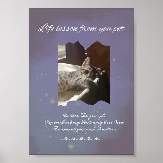 Personalized Dreamy Life Lessons from your Pet Poster (Vorne)