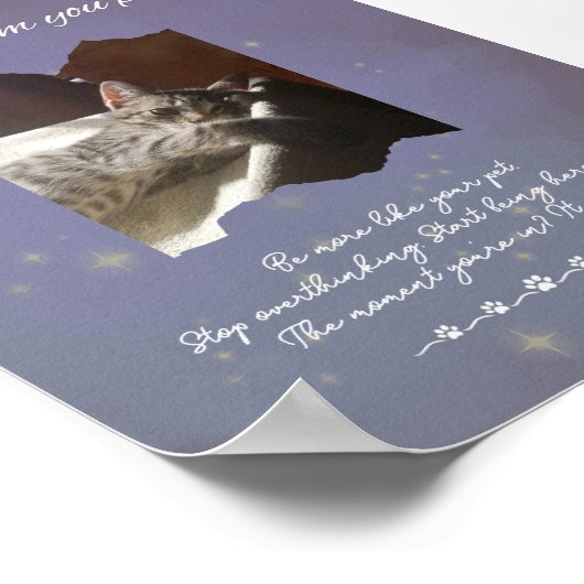 Personalized Dreamy Life Lessons from your Pet  Poster (Ecke)