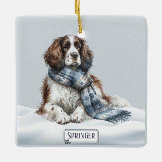 Personalized English Springer Spaniel Ornament (Vorderseite)