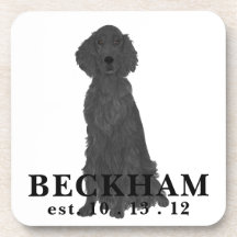 Personalized Flat Coated Retriever