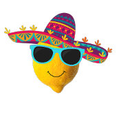 Personalized Funny Lemon Lime  Karte