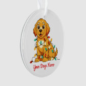 Personalized Golden Retriever Acrylic Ornament (Vorderseite)