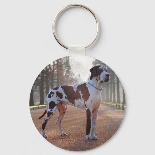 Personalized Great Dane – Minimalist  Schlüsselanhänger (Vorderseite)