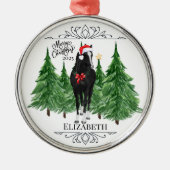 Personalized Horse Christmas Ornament Keepsake (Vorne)