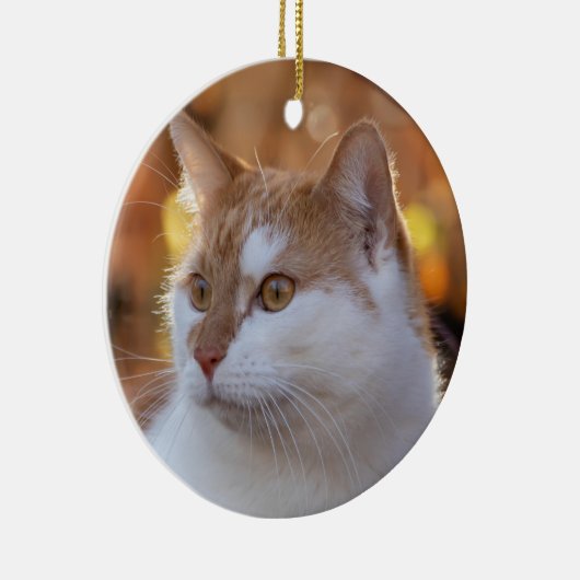 Personalized Kitty Cat Photo Keramik Ornament (Rechts)