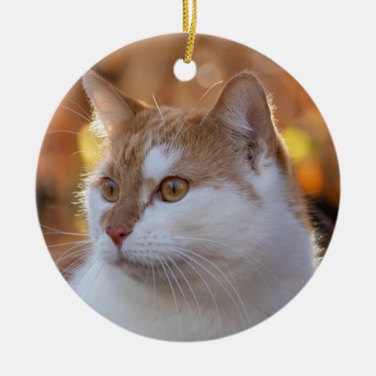 Personalized Kitty Cat Photo Keramik Ornament (Vorne)