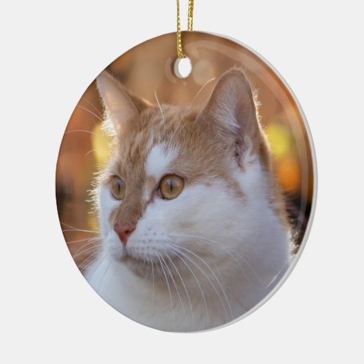 Personalized Kitty Cat Photo Keramik Ornament (Links)