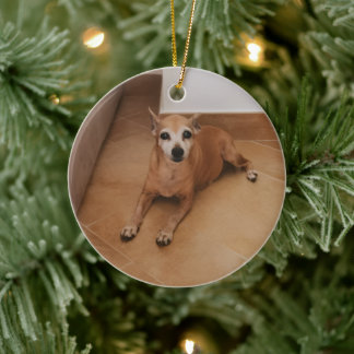 Personalized Name And Photo Pet Memorial Keramik Ornament