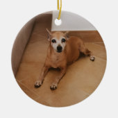 Personalized Name And Photo Pet Memorial Keramik Ornament (Vorne)