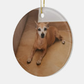 Personalized Name And Photo Pet Memorial Keramik Ornament (Links)