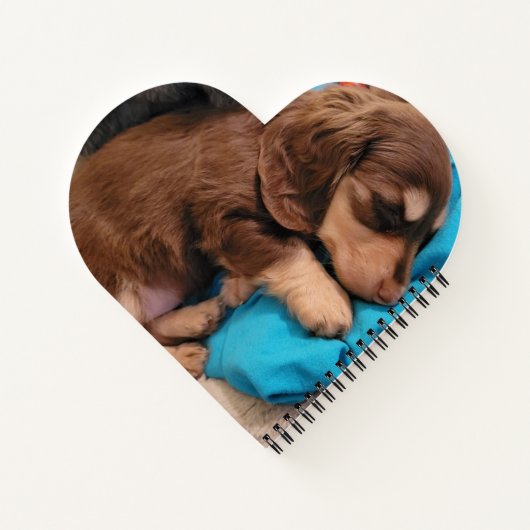 Personalized Note Pad Notizblock (Rückseite)