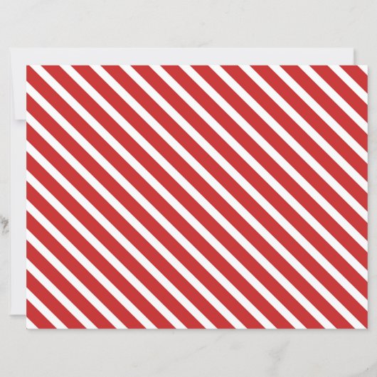 Personalized Official Santa Nice List Certificate (Rückseite)