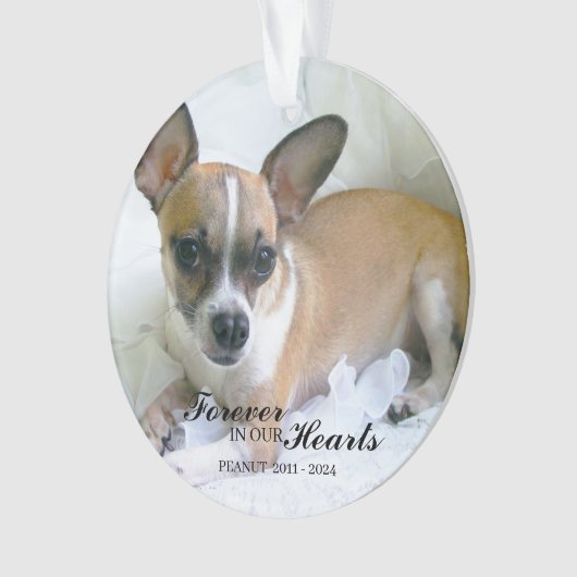 Personalized Pet Christmas Ornament (Vorderseite)