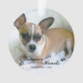 Personalized Pet Christmas Ornament