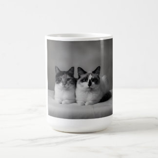 Personalized Pet Mug – High-Resolution Cat Photo Kaffeetasse