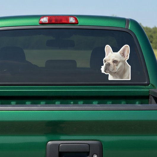 Personalized Pet Photo Car Window Sticker