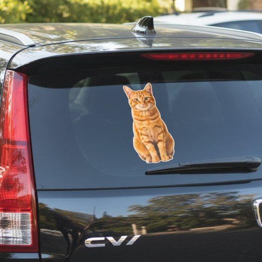 Personalized Pet Photo Car Window Sticker