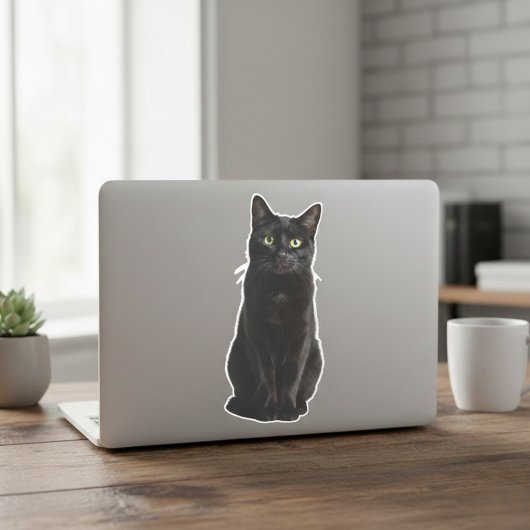 Personalized Pet Photo Car Window Sticker