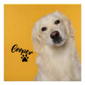 Personalized Pet Photo Dog Lover with Photo Poster (Vorderseite)