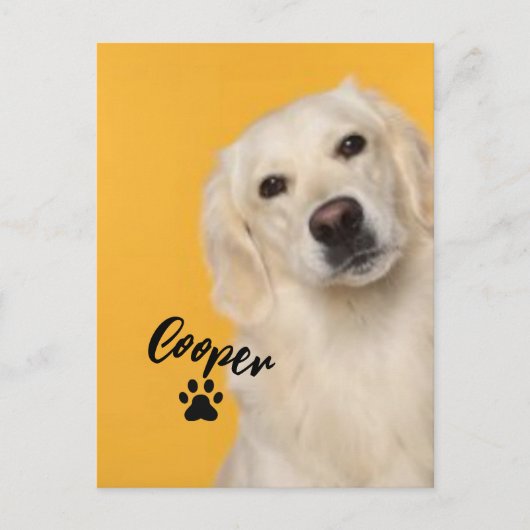Personalized Pet Photo Dog Lover with Photo Postkarte (Vorderseite)