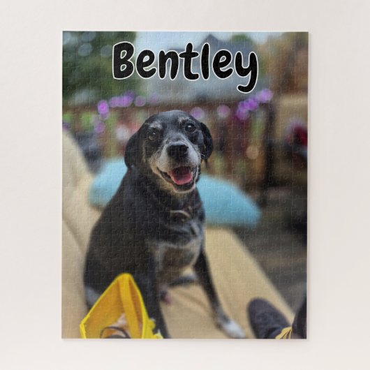 Personalized Pet Photos Template Puzzle (Vertikal)