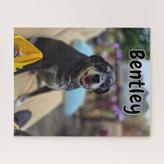 Personalized Pet Photos Template Puzzle (Horizontal)