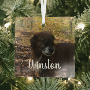 Personalized Photo White Script Ornament Aus Glas