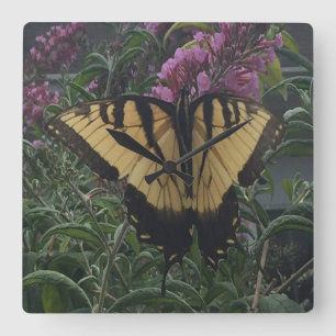 Personalized Photo Yellow and Black Butterfly Quadratische Wanduhr
