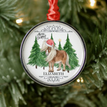 Personalized Pony Christmas Ornament Keepsake
