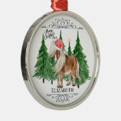 Personalized Pony Christmas Ornament Keepsake (Rechts)