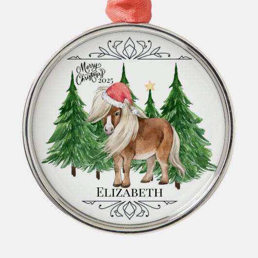 Personalized Pony Christmas Ornament Keepsake (Vorne)