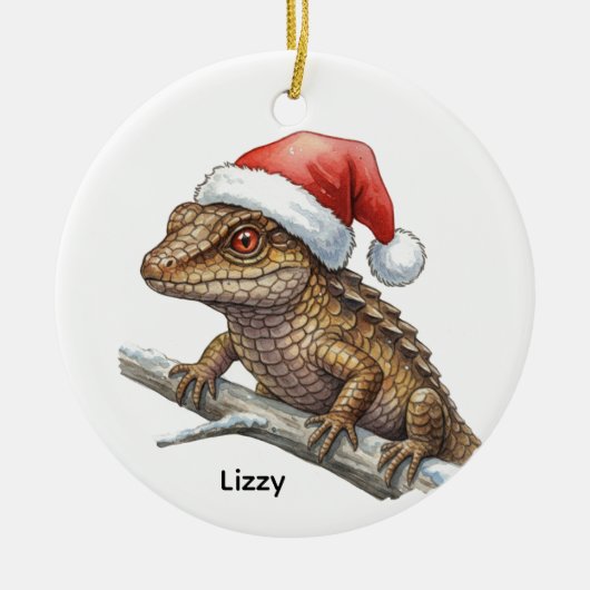 Personalized Red-eyed crocodile skink  Keramik Ornament (Vorne)
