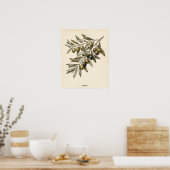 Personalized Rustic Vintage Olive Branch Kitchen Poster (Küche)