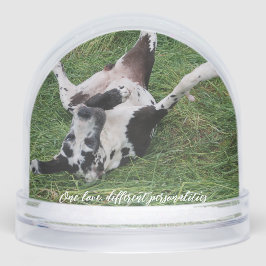 personalized snow globe featuring two of your own schneekugeln