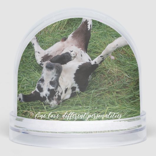 personalized snow globe featuring two of your own schneekugeln (Vorderseite)