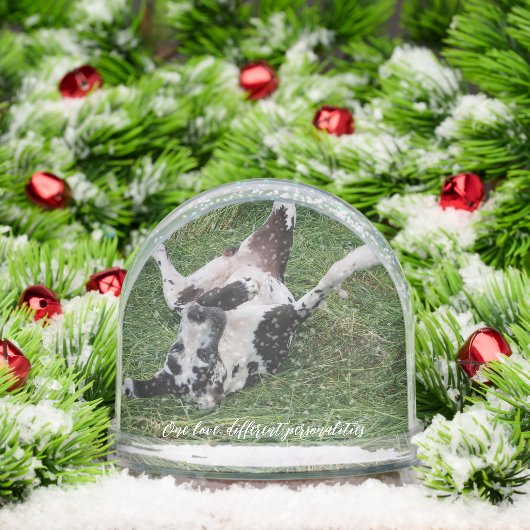 personalized snow globe featuring two of your own schneekugeln (Weihnachten)