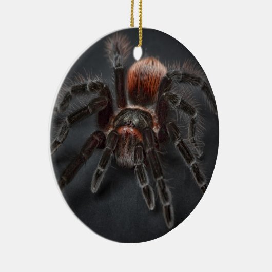 Personalized Tarantula Spider Christmas Keramik Ornament (Rechts)