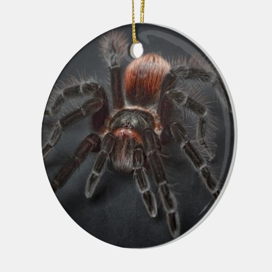 Personalized Tarantula Spider Christmas Keramik Ornament (Links)